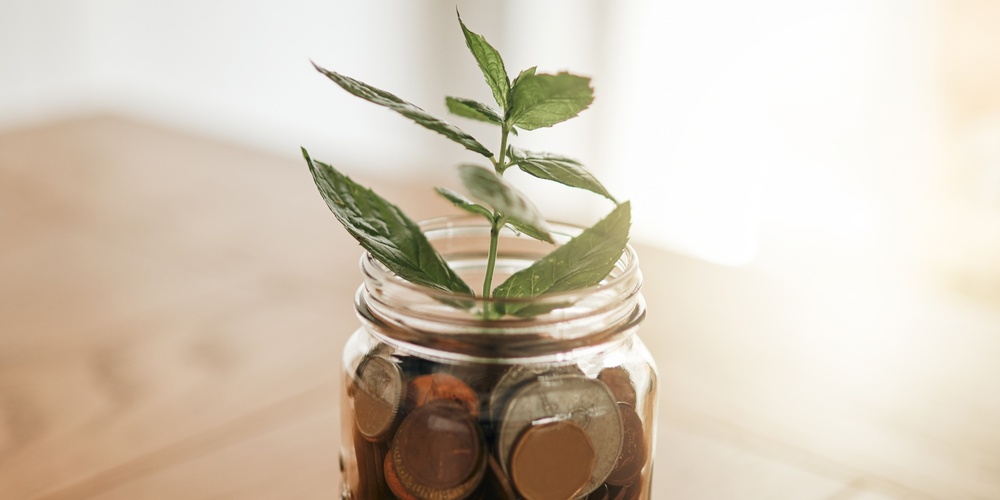 En glasburk fylld med mynt står på ett träbord, med en grön växt som växer ur burken.