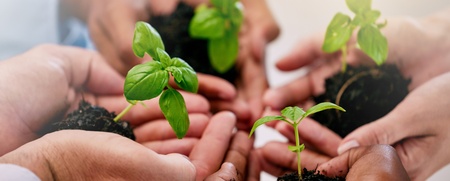 Flera händer håller små plantor med jord, symboliserar samarbete och hållbarhet.