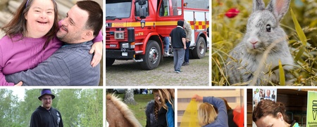 Ett kollage med bilder av människor som deltar i olika aktiviteter, en brandbil, en kanin och en häst.
