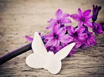 Lila hyacintblommor och en vit fjärilsdekoration på ett träbord.