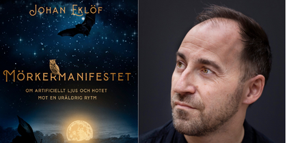Bokomslag till 'Mörkermanifestet' av Johan Eklöf med nattmotiv, fladdermus, uggla, fjäril och älg.