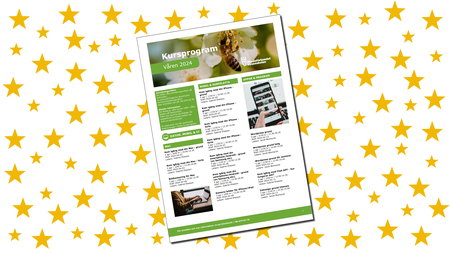 Ett kursprogram för våren 2024 med gröna detaljer ligger mot en bakgrund med gula stjärnor.