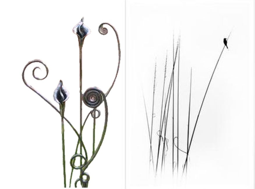Två bilder: till vänster konstnärliga metallspiraler, till höger tunna grässtrån med en fågel på en av dem.