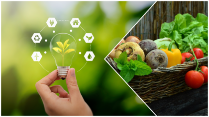 En hand håller en glödlampa med en växt inuti, bredvid en korg med färska grönsaker.