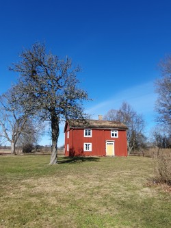 Rött trähus med vita fönster står på en gräsmatta under klarblå himmel, omgiven av träd utan löv.
