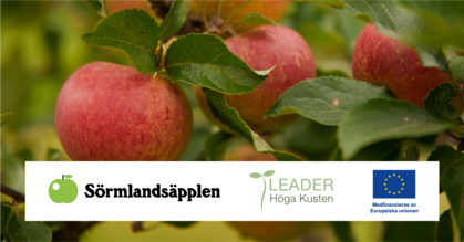 Närbild på röda äpplen i ett träd med gröna blad och logotyper för Sörmlandsäpplen, Leader Höga Kusten och EU.