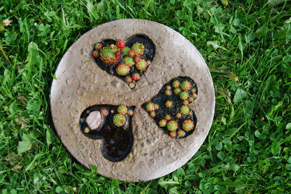 Rund stenplatta med tre hjärtformade urgröpningar fyllda med små suckulenter, placerad på gräs.