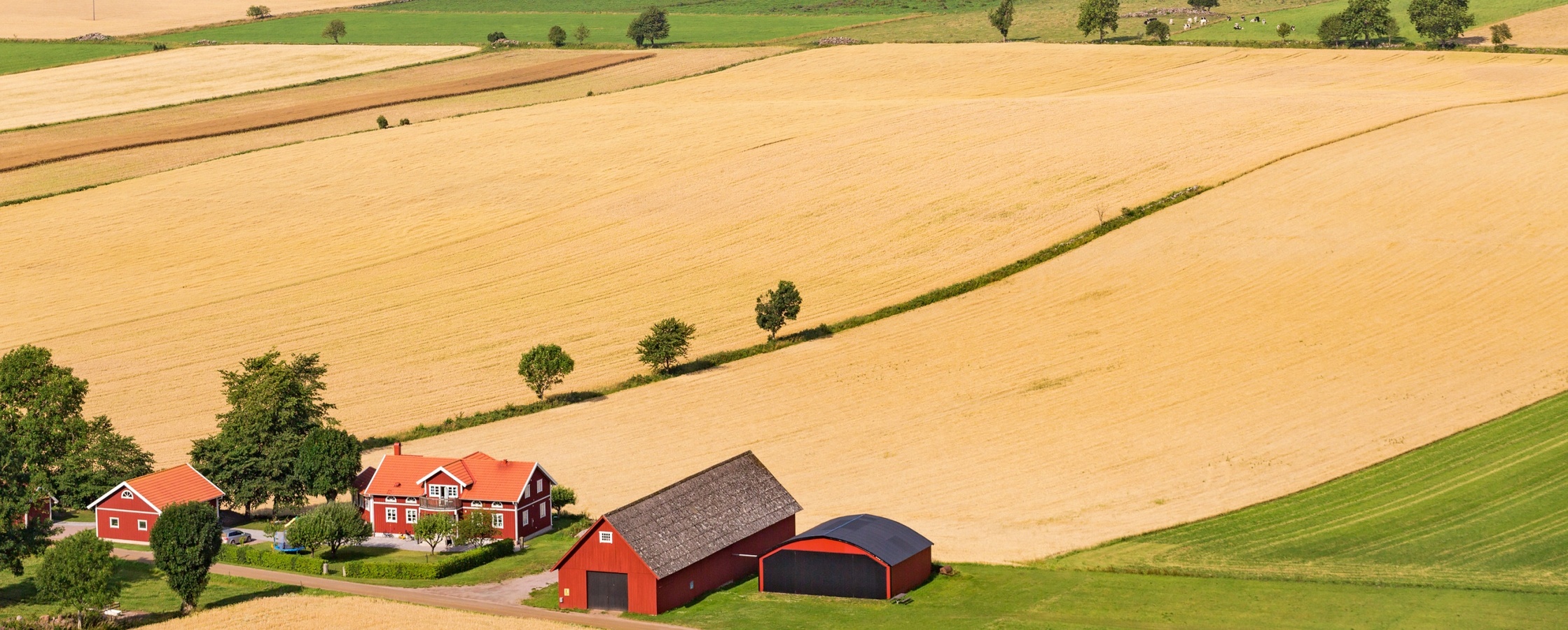 Landskapsvy över åkrar och bondgårdar med röda hus och lador på den svenska landsbygden.