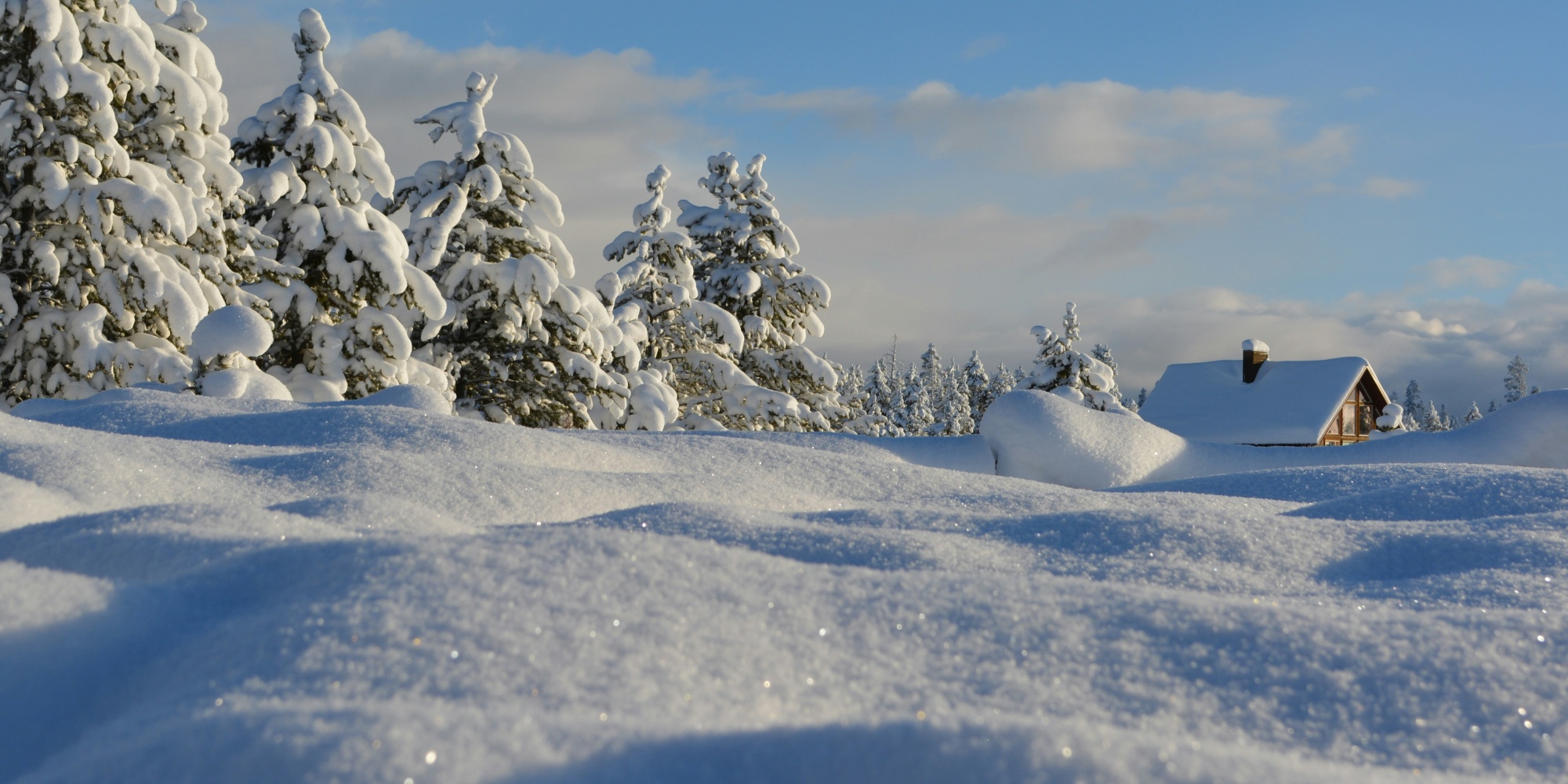 Snötäckt landskap med granar och en liten stuga under en klarblå himmel.