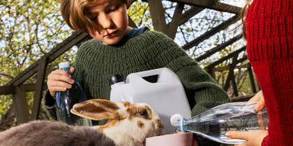 Två barn matar kaniner i en stor utomhusburen. Ett barn i mörkgrön tröja håller en vattenflaska och en dunk, och ett barn i röd tröja fyller en skål som en vit och ljusbrun kanin dricker ur. I förgrunden dricker en mörkbrun vädurkanin ur en blå skål, med lövträd och blå himmel i bakgrunden.