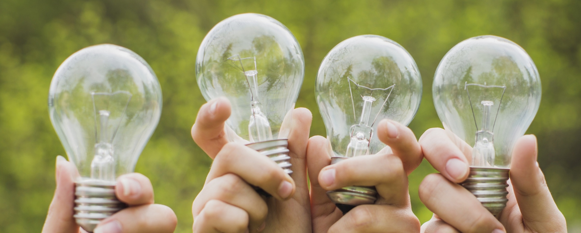 Fyra händer håller upp varsin glödlampa utomhus med grönskande bakgrund.