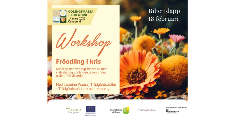 Affisch för workshop om fröodling i kris på Odlingsmässa i Östersund, med färgglada blommor i bakgrunden.