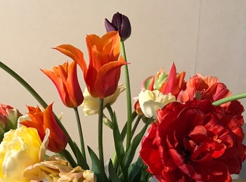 En vit vas med färgglada blommor står på ett bord med en regnbågsfärgad duk.