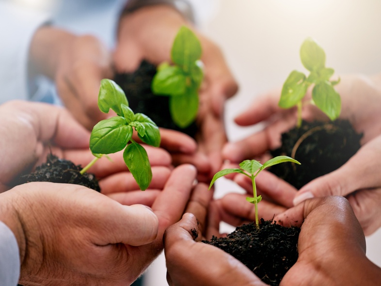 Flera händer håller små plantor med jord, symboliserar samarbete och hållbarhet.