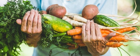 En person håller en stor bunt färska grönsaker, bland annat morötter, gurka och potatis, i famnen utomhus.