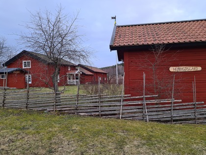 Två röda trähus med vita knutar och gärdsgård i lantlig miljö, träd utan löv och gräsmatta i förgrunden.