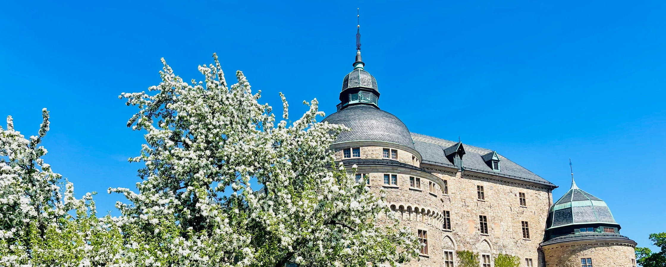 Ett gammalt stenhus med torn och kupol, omgiven av blommande träd under en klarblå himmel.