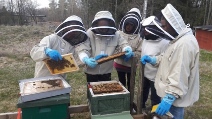 Biodling för nybörjare Tidaholm
