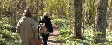 Två personer promenerar på en skogsstig omgiven av gröna träd och vitsippor i solsken.