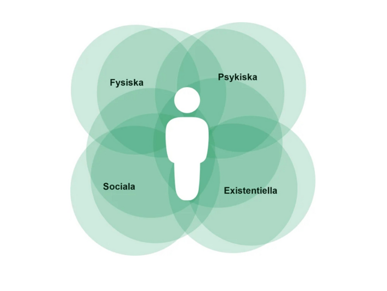Illustration av en mänsklig figur omgiven av fyra överlappande cirklar med orden fysiska, psykiska, sociala och existentiella.