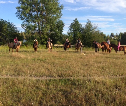En grupp människor rider på hästar på en äng med träd i bakgrunden under en klar himmel.