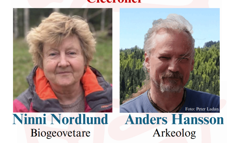Gröna spår genom tiderna - en resa genom 10 000 år av natur