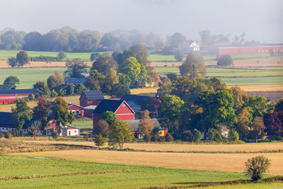Landskapsvy över en lantlig by med röda hus, gröna fält och träd i morgondimma.