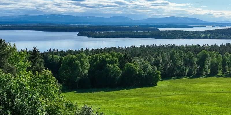 Gröna spår genom tiderna - en resa genom 10 000 år av natur
