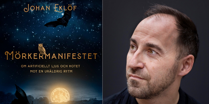 Bokomslag till 'Mörkermanifestet' av Johan Eklöf med nattmotiv, fladdermus, uggla, fjäril och älg.