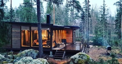 En modern trästuga med stora fönster ligger i en skog omgiven av mossa och träd.