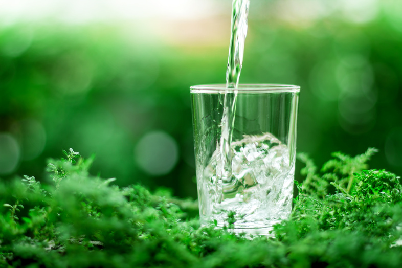 Ett glas vatten fylls med isbitar, placerat på grön mossa i naturmiljö.
