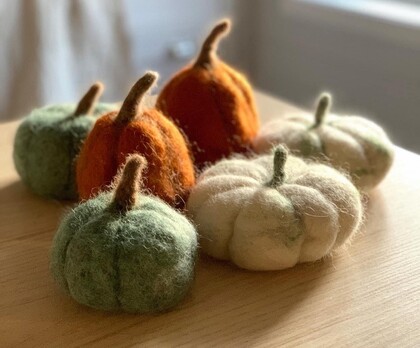Fem tovade pumpor i grönt, orange och vitt står på ett ljust träbord i mjukt dagsljus.