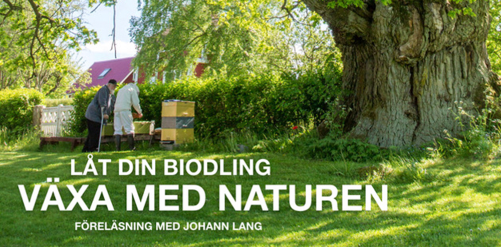 Två personer arbetar vid bikupor under ett stort träd i en grön trädgård med text om biodling.