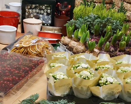 Ett bord fyllt med krukväxter, hyacintlökar, torkade apelsinskivor, röda bär och tomma krukor, redo för blomsterarrangemang.