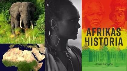 Fyra bilder: en elefant i naturen, en kvinna i profil, Afrikas karta och en bok om Afrikas historia.