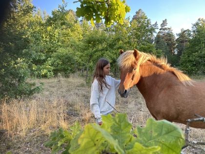 En flicka i vit tröja klappar en brun häst i en solig skogsglänta med gröna träd och buskar.