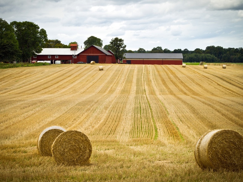 Ett fält med rundbalar av halm framför en röd ladugård och gröna träd under en molnig himmel.