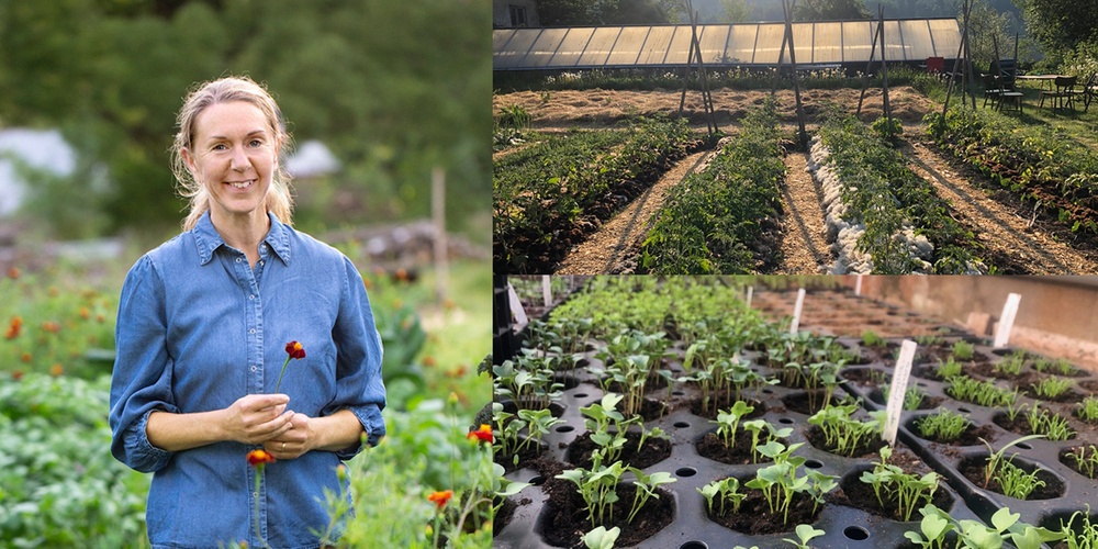 En person i blå skjorta står i en grönsaksodling, med två bilder på odlingsbäddar och plantor bredvid.