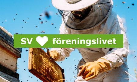Person i skyddsdräkt arbetar med bikupa, texten 'SV hjärta föreningslivet' syns över bilden.