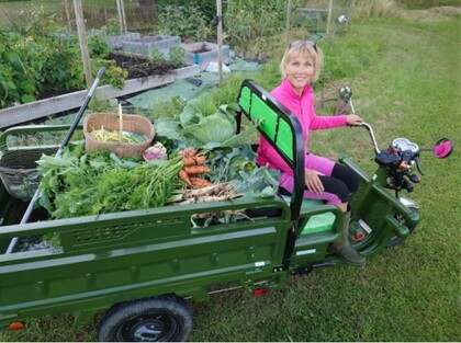 Person i rosa jacka kör grön lastmoped full med nyplockade grönsaker på en gräsmatta vid en trädgård.