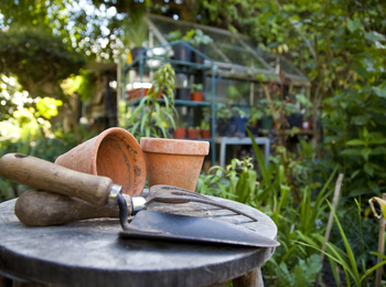 Trädgårdsredskap och lerkrukor på ett bord i en grönskande trädgård med växthus i bakgrunden.