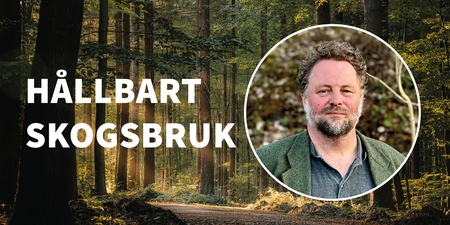 En man i grön kavaj syns i en cirkel ovanpå en skogsmiljö med texten 'Hållbart skogsbruk'.
