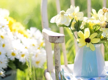 En gammal trästol står på en gräsmatta med en kanna och en hink fyllda med vita och gula blommor.