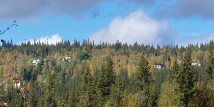 Utsikt över en skog med höstfärgade träd och några hus på en kulle i bakgrunden under en blå himmel med moln.
