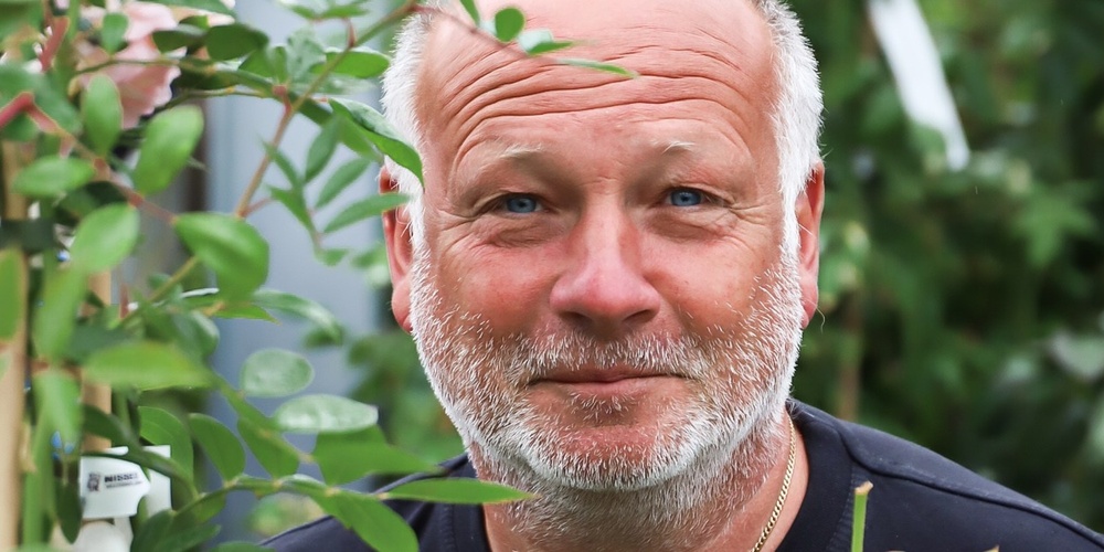 En person står bland blommande rosbuskar i en trädgårdsmiljö.