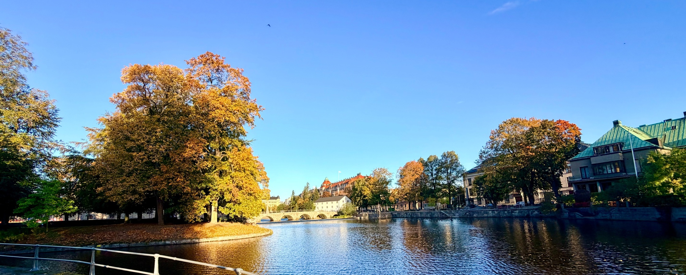 En flod med höstfärgade träd, blå himmel och byggnader längs strandpromenaden.