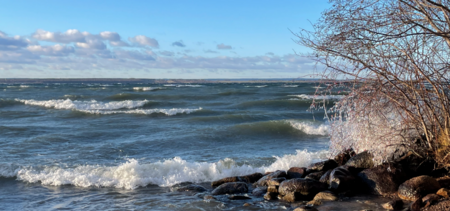 Vågigt vatten slår mot en stenig strand med ett träd täckt av is, under en klarblå himmel.