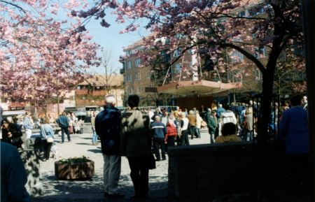 Människor samlade på ett torg under blommande körsbärsträd en solig dag.