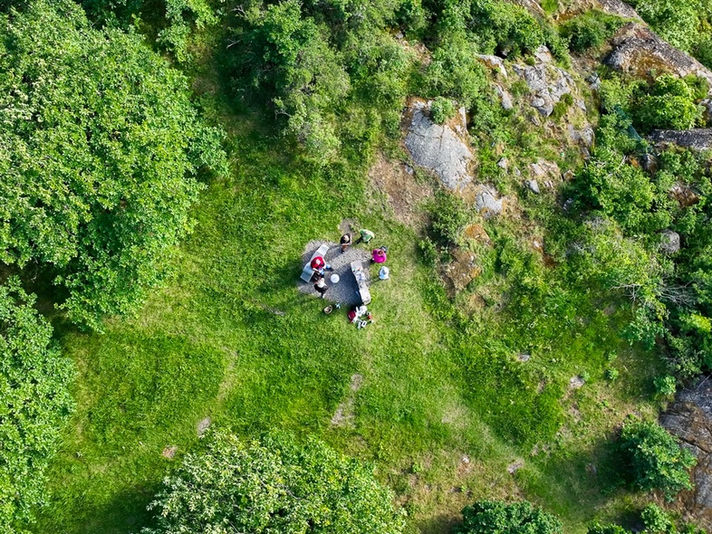 Flygbild över en grönskande glänta med några personer som sitter på en filt mitt i naturen.