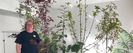 Kursledaren Pernilla Johansson står vid en rad olika fruktträd inburna i konferenslokalen. 